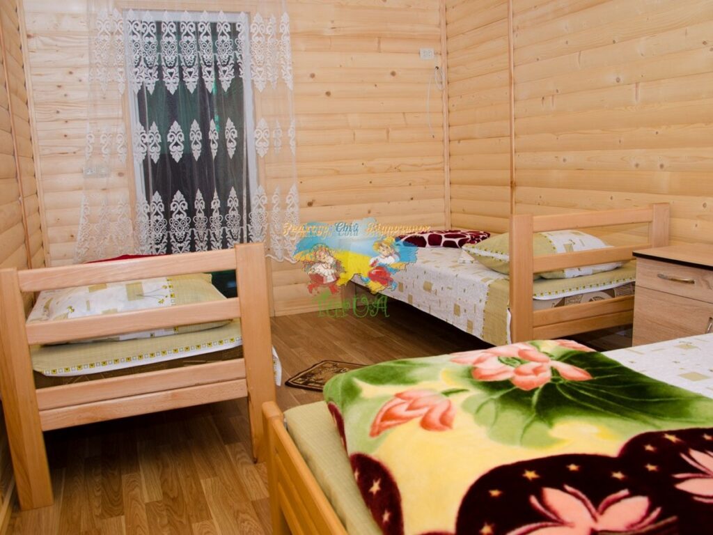 Приватний будинок Єлена Солотвино