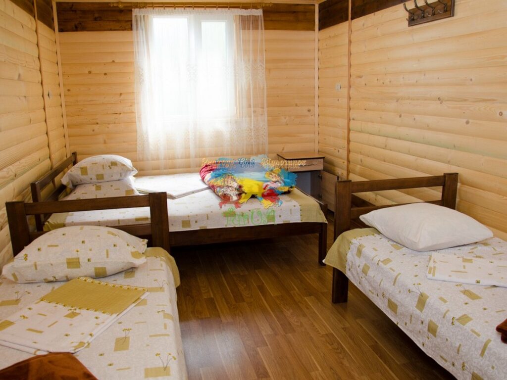 Приватний будинок Єлена Солотвино