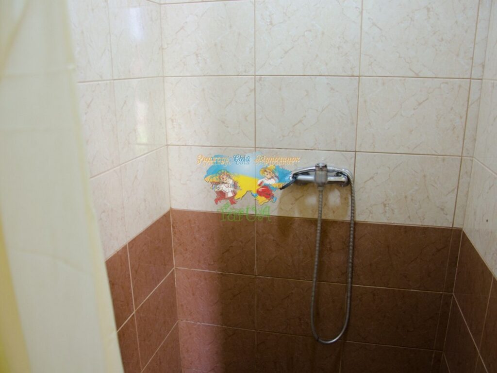 Приватний будинок Єлена Солотвино