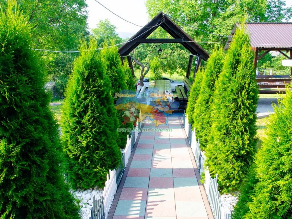 Приватний будинок Єлена Солотвино