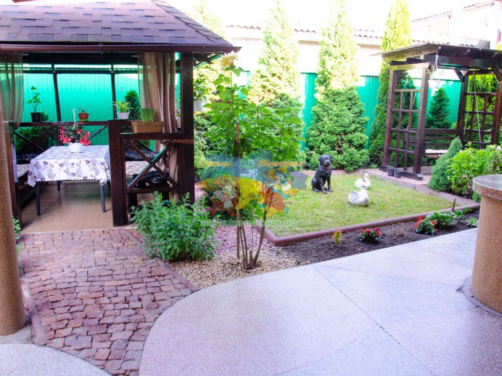 Приватний будинок Єлена Солотвино