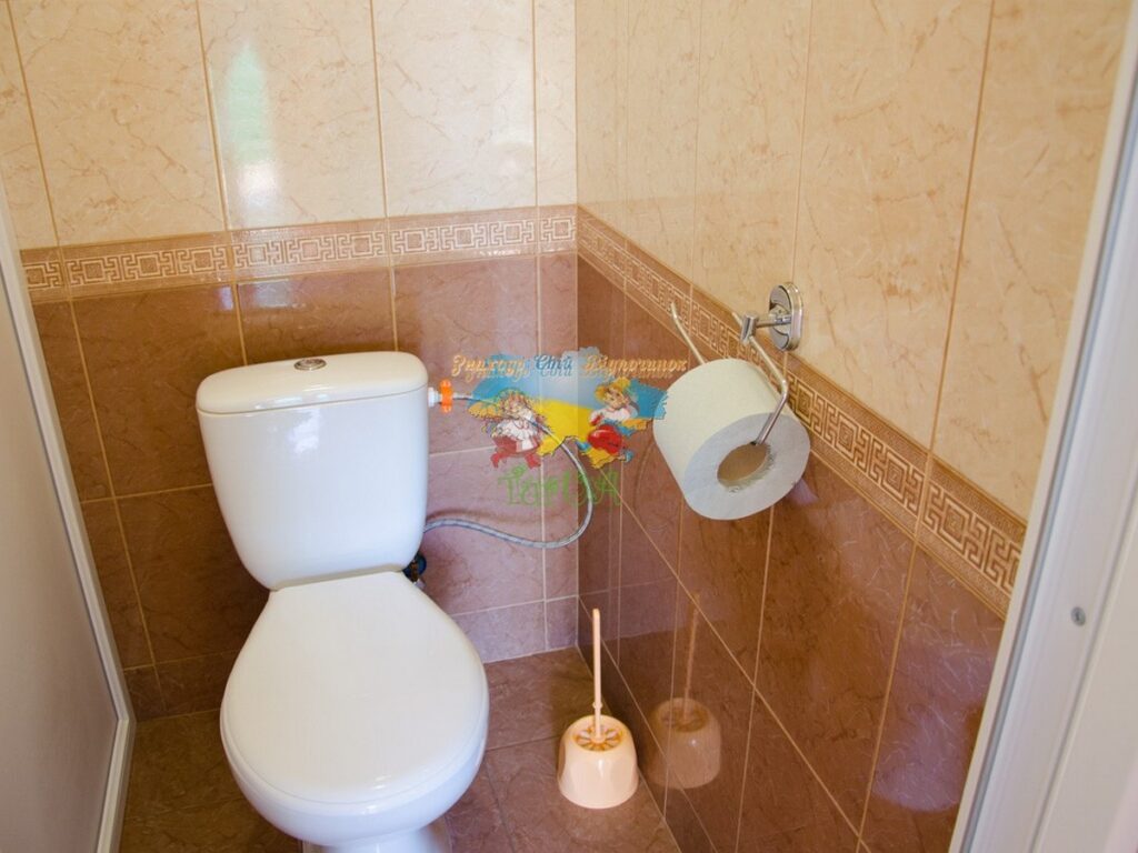 Приватний будинок Єлена Солотвино