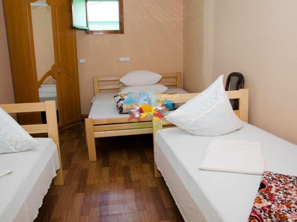 Приватний будинок Єлена Солотвино