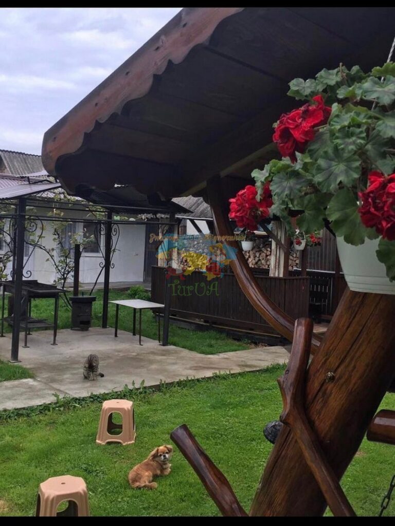 Приватний будинок в Солотвино Marina