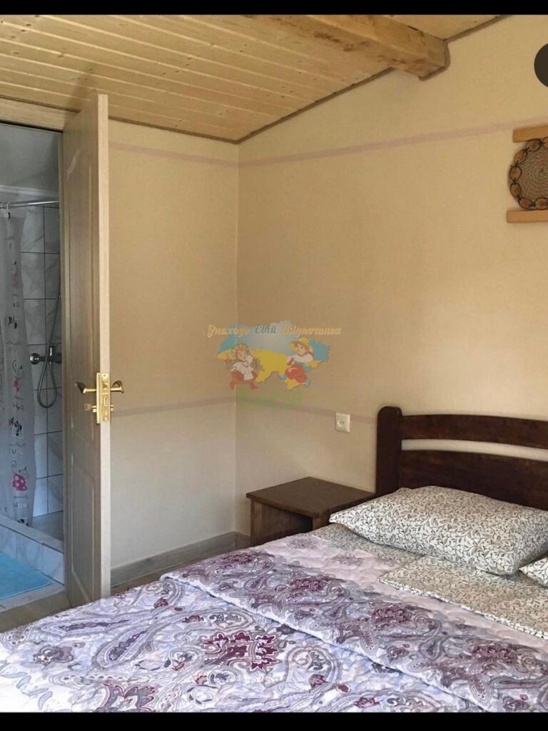 Приватний будинок в Солотвино Marina