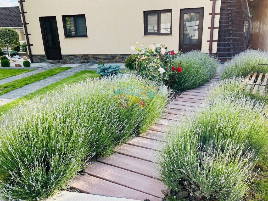 Приватний сектор Солотвино