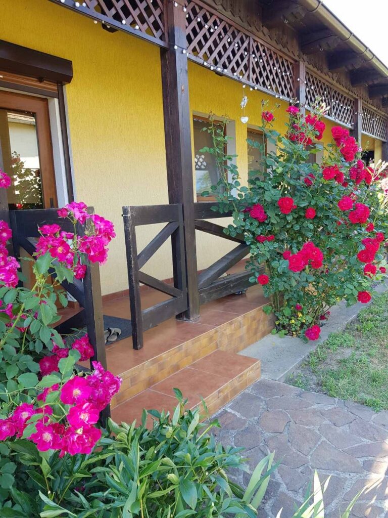 Садиба Веранда Косонь