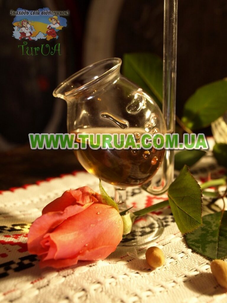 Винний підвал сімї Шош Берегово