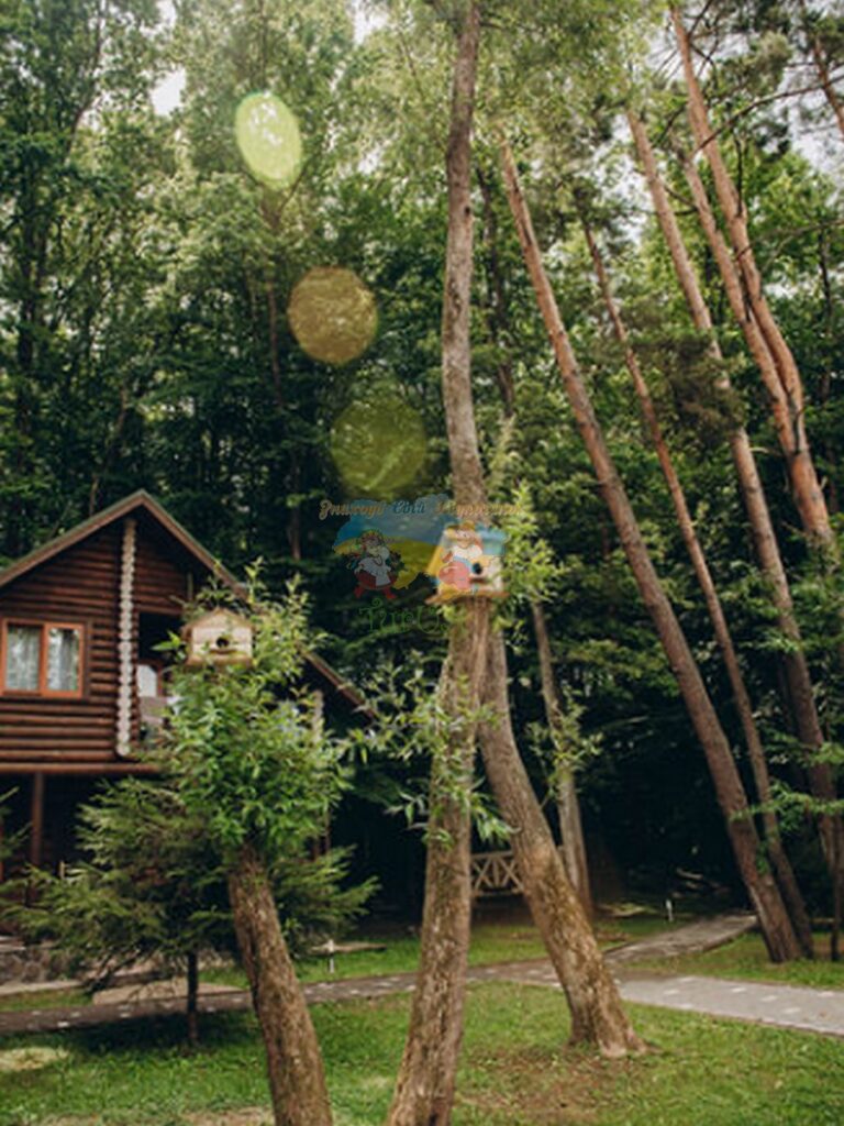 Комплекс відпочинку Солотвино Резорт