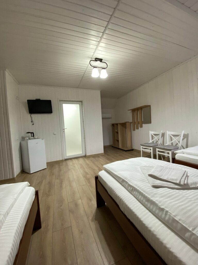 Гостинний дім Соняшник Солотвино