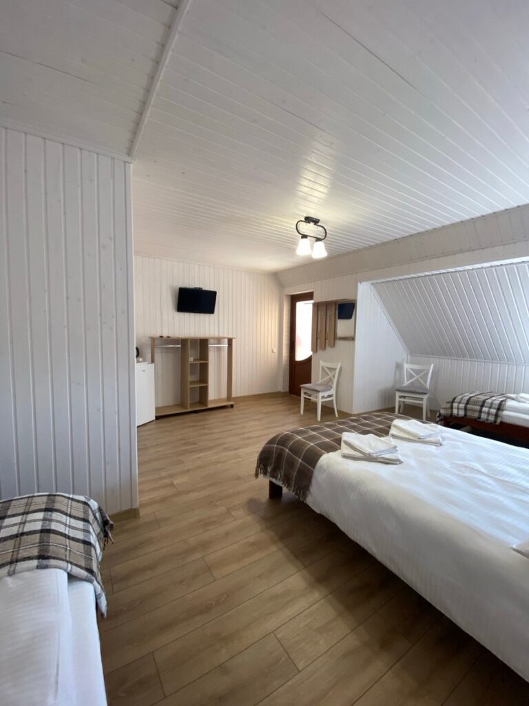 Гостинний дім Соняшник Солотвино