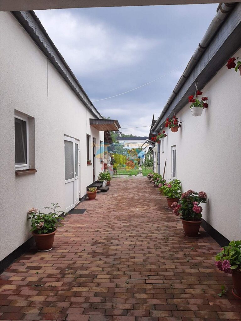 Будинок в Солотвино у Наталії