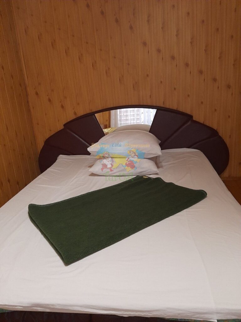 Будинок в Солотвино у Наталії