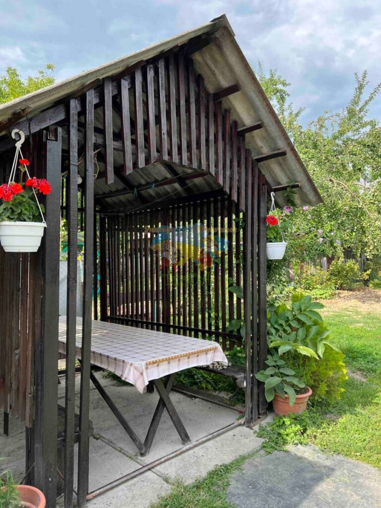 Будинок в Солотвино у Наталії