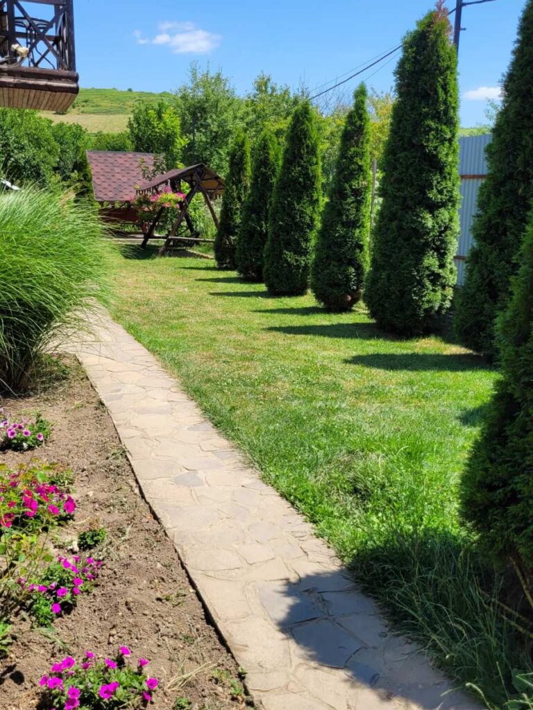 Будинок «У СВІТЛАНИ» Косонь