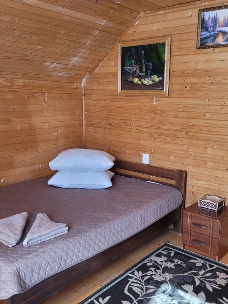 Будинок «У СВІТЛАНИ» Косонь