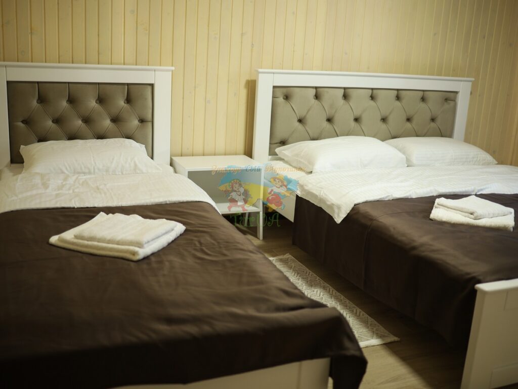 База відпочинку Vasok Солотвино