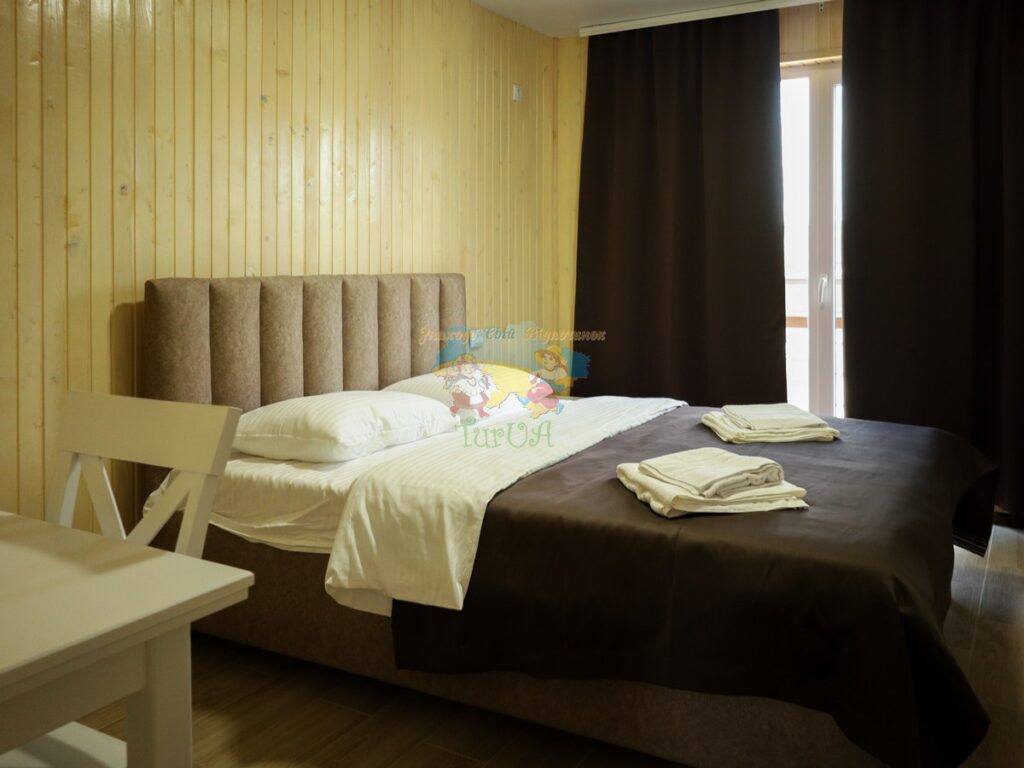 База відпочинку Vasok Солотвино