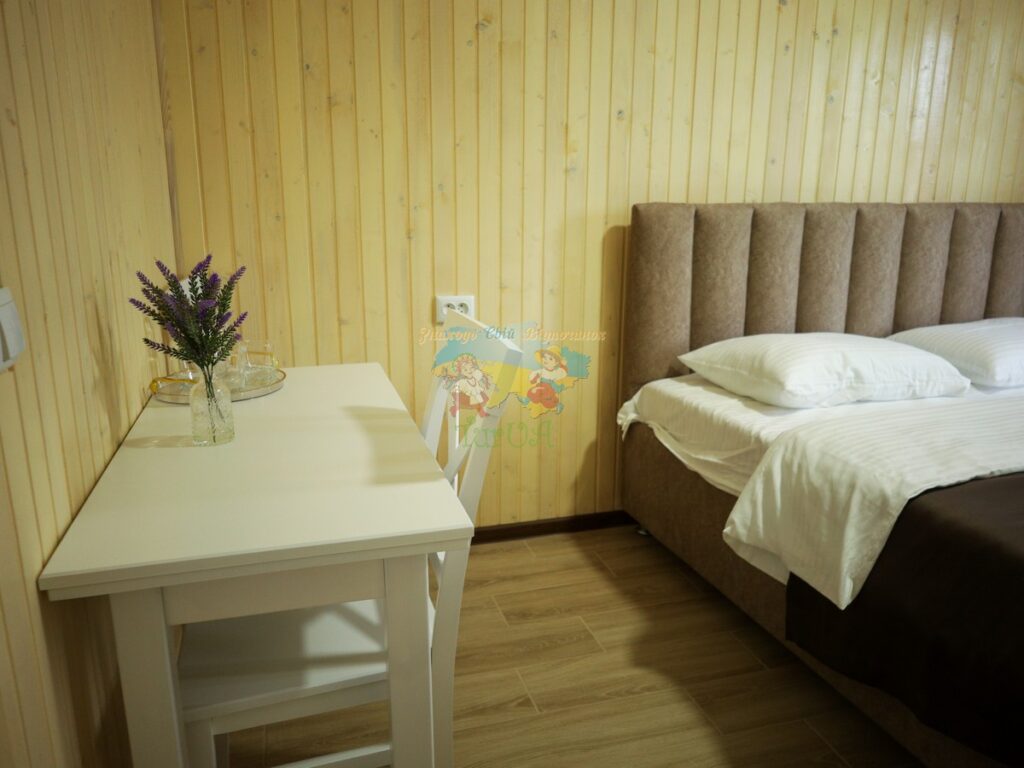 База відпочинку Vasok Солотвино