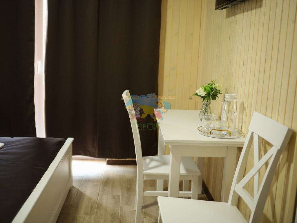 База відпочинку Vasok Солотвино