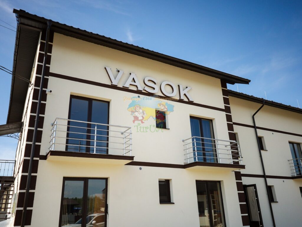 База відпочинку Vasok Солотвино