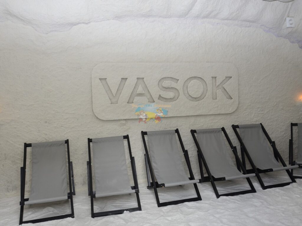 База відпочинку Vasok Солотвино