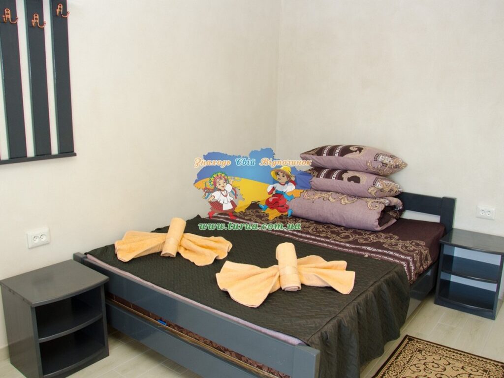 Вілла Влад Солотвино