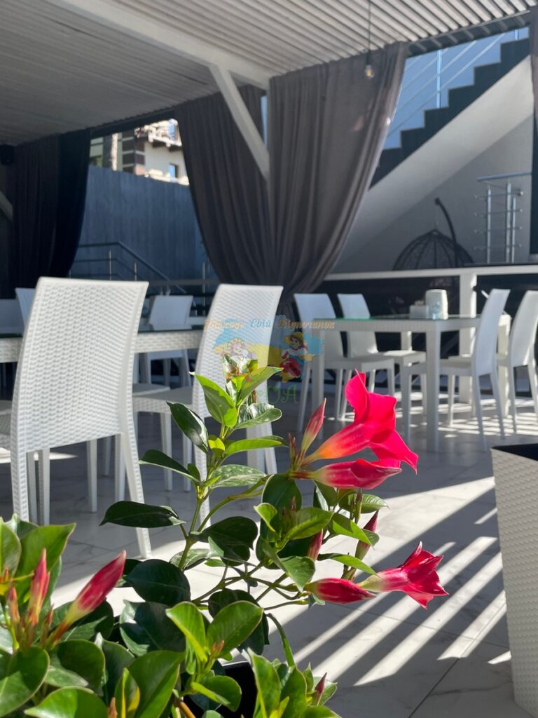 Вілла Діана Солотвино