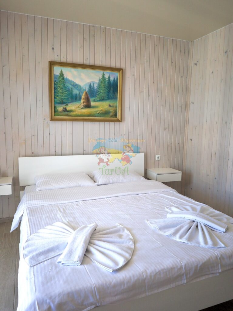 Вілла Діана Солотвино