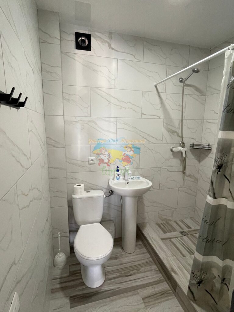 Вілла Діана Солотвино