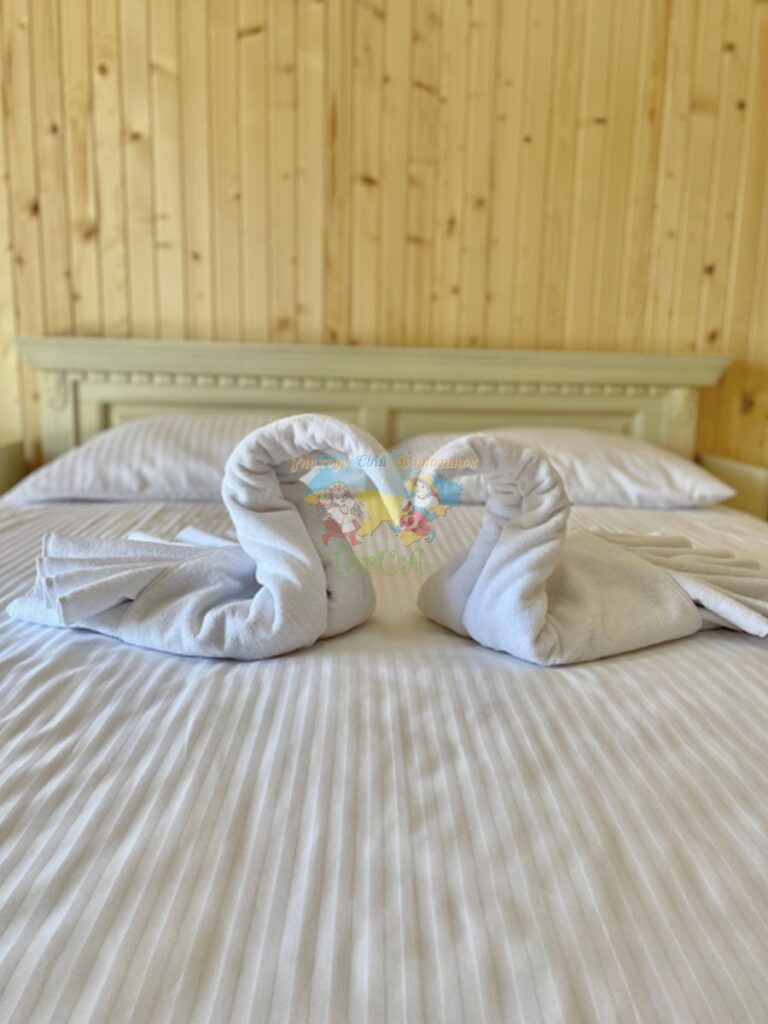 Вілла Діана Солотвино