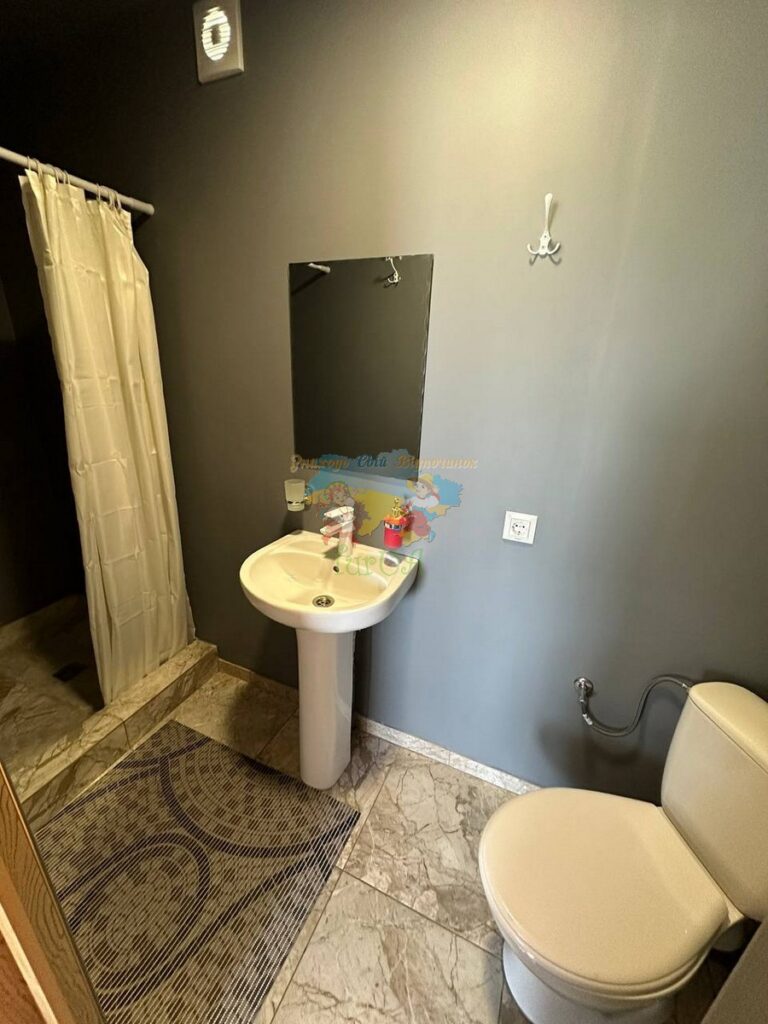 Вілла Лупу Солотвино