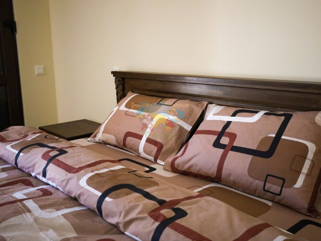 Вілла Мілана Солотвино